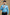 Sky Blue Classic Solid Shirt