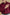 Maroon Textured Classic Solid Shirt