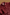 Burgundy Classic Solid Shirt